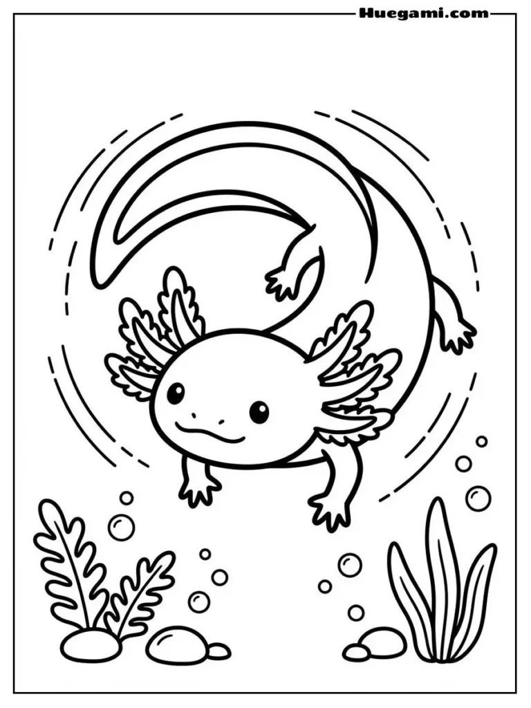 Axolotl Swimming In Circles