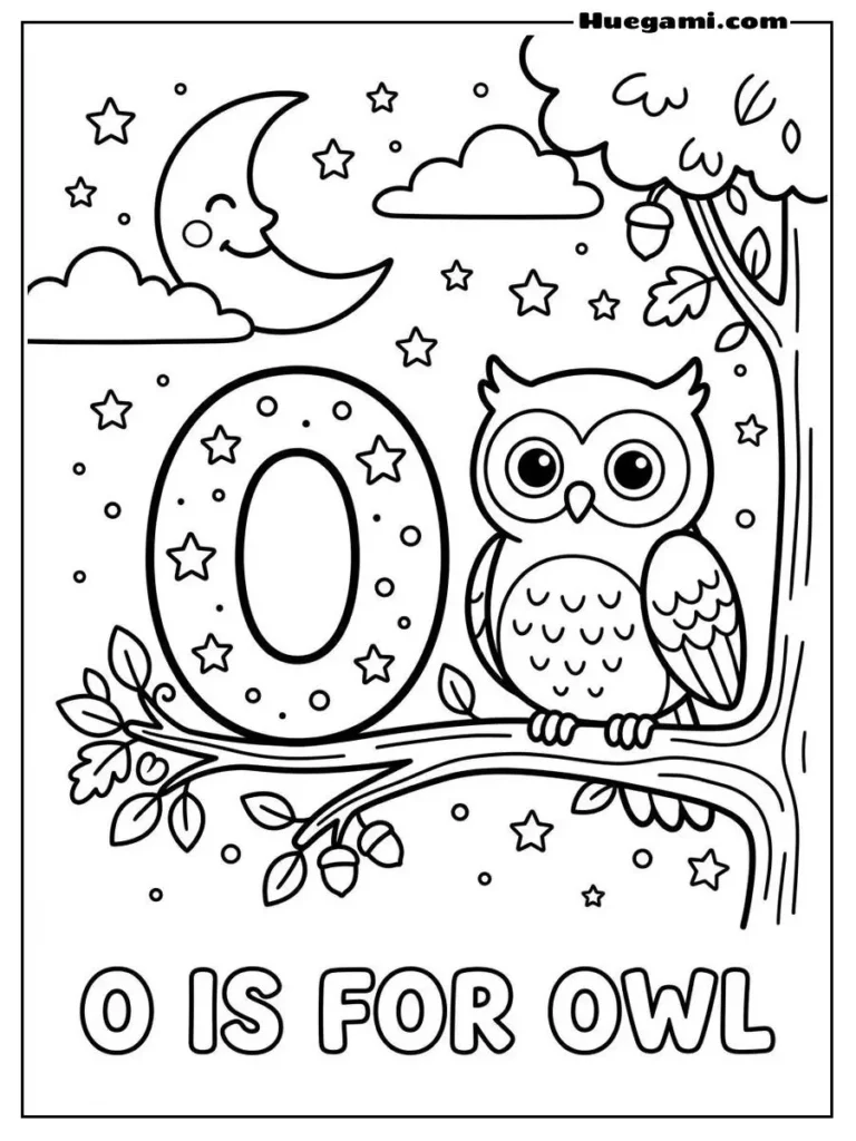 Letter O For Owl Illustration